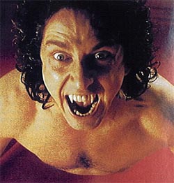 film48.jpg (25397 octets)