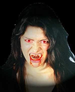 killer01.jpg (11781 octets)